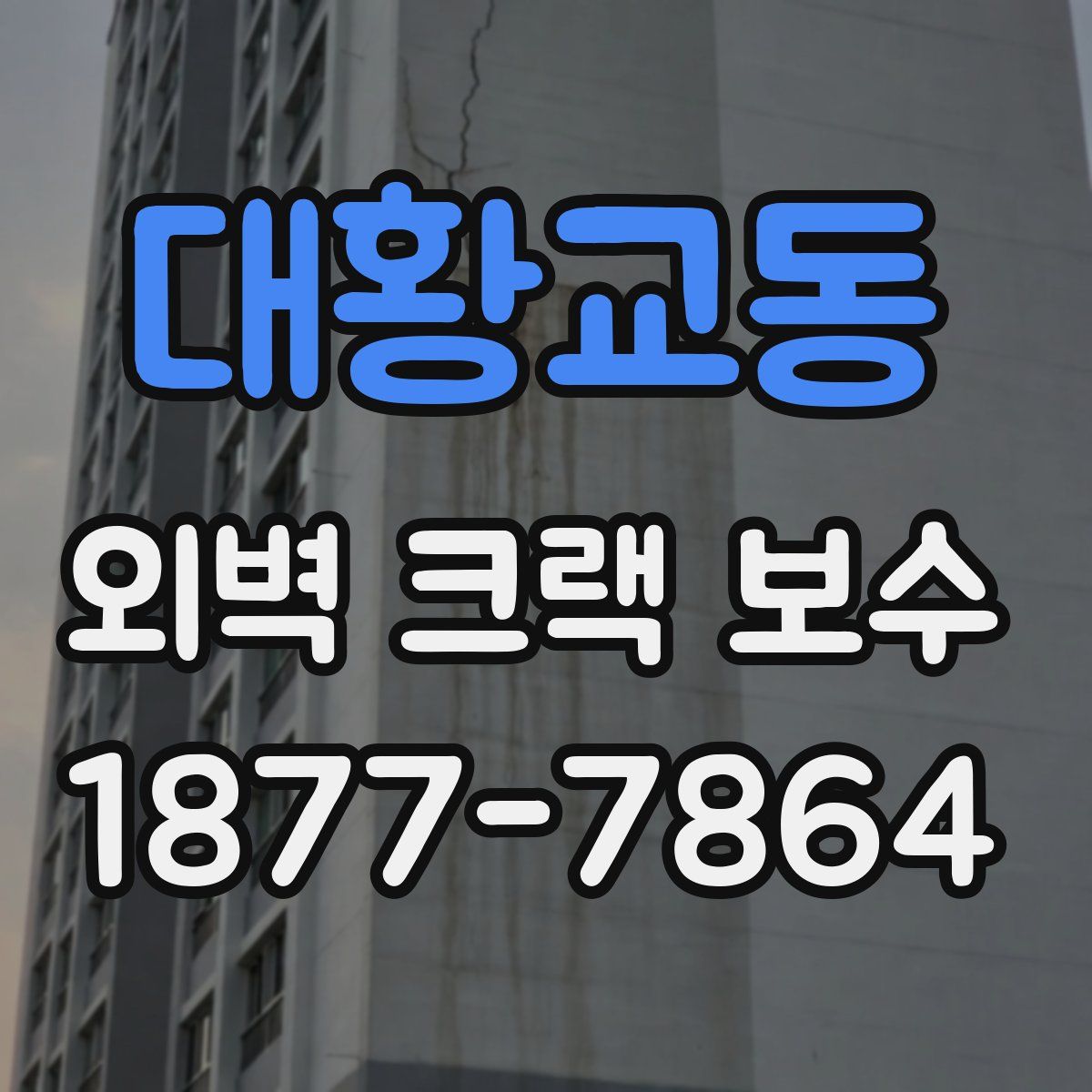 대황교동 외벽 크랙 보수