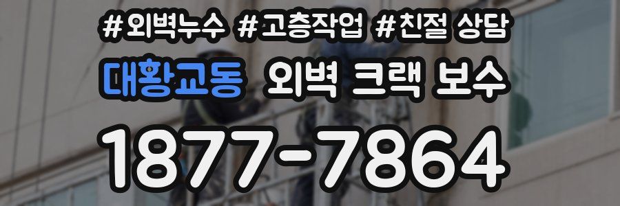 대황교동 외벽 크랙 보수