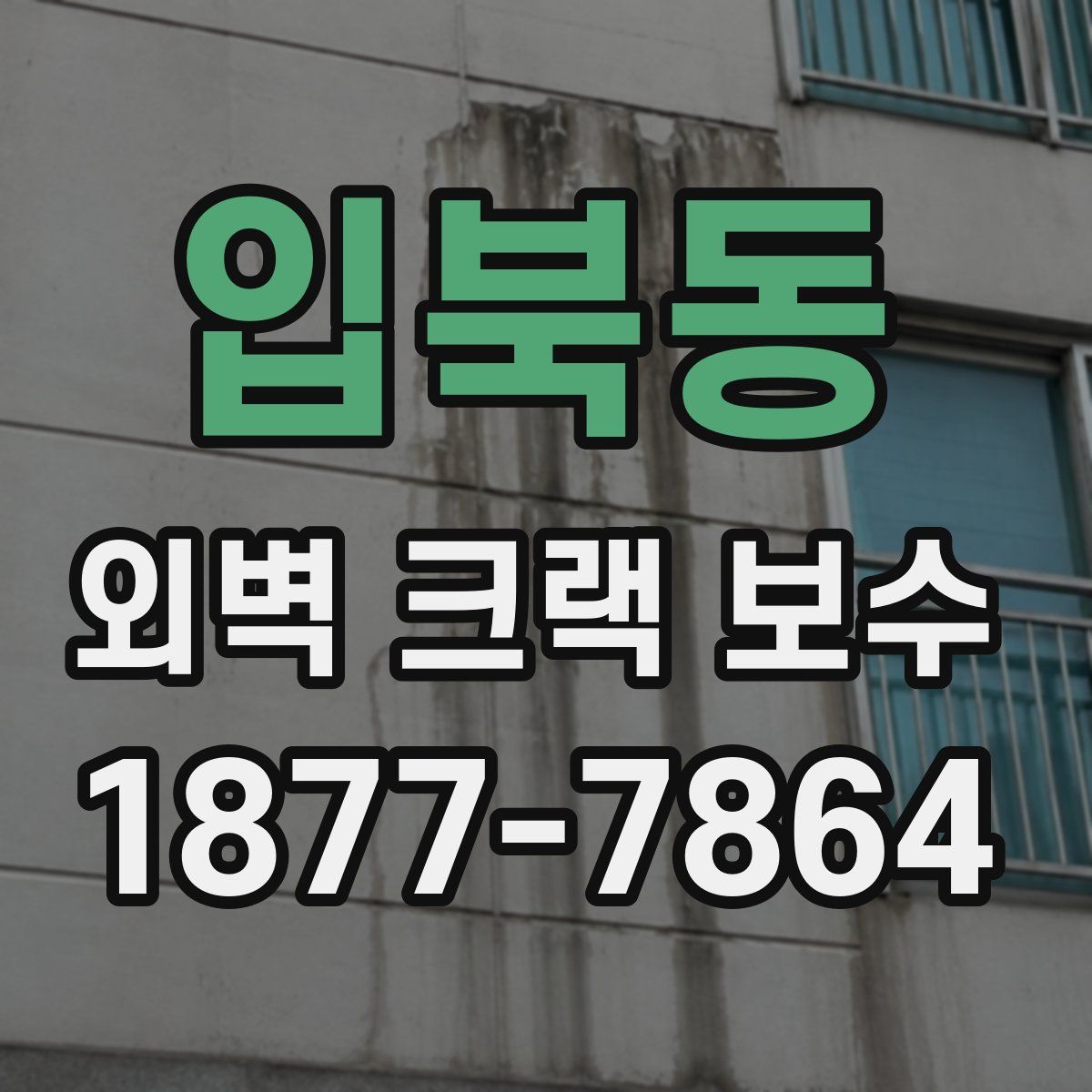 입북동 외벽 크랙 보수