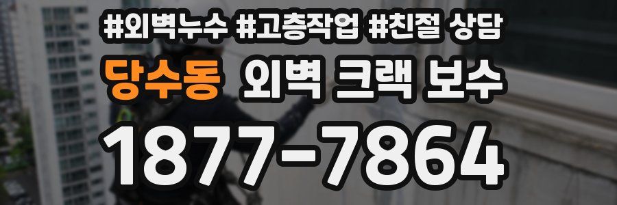 당수동 외벽 크랙 보수