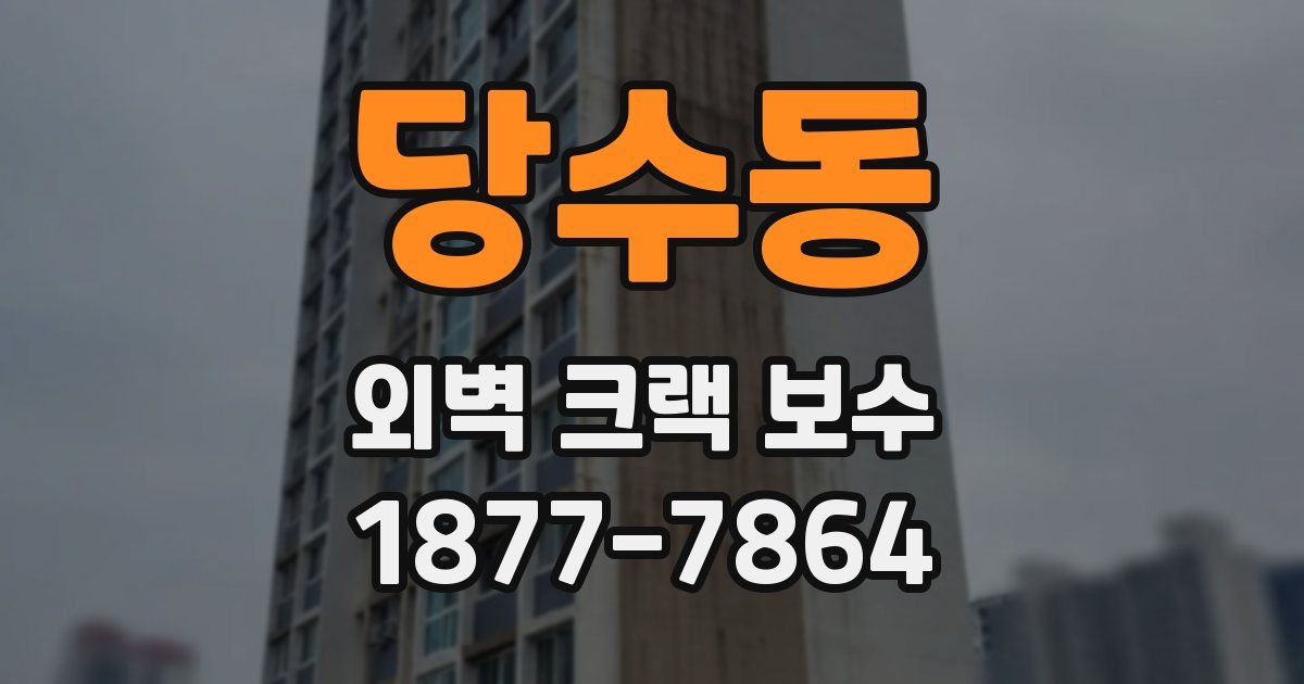 당수동 외벽 크랙 보수