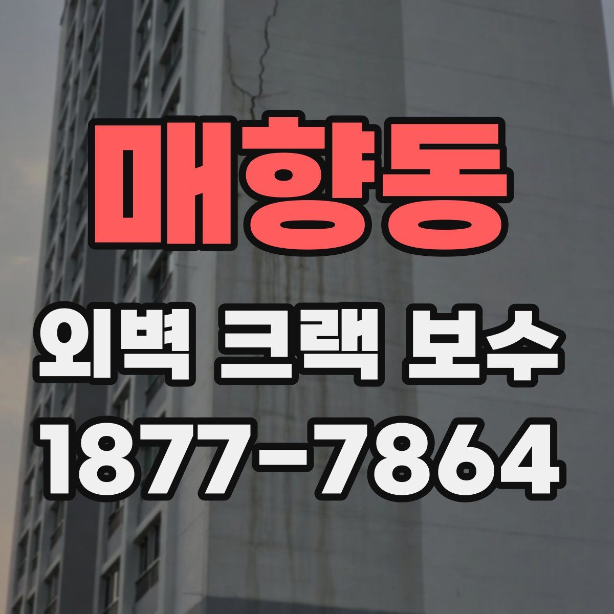 매향동 외벽 크랙 보수