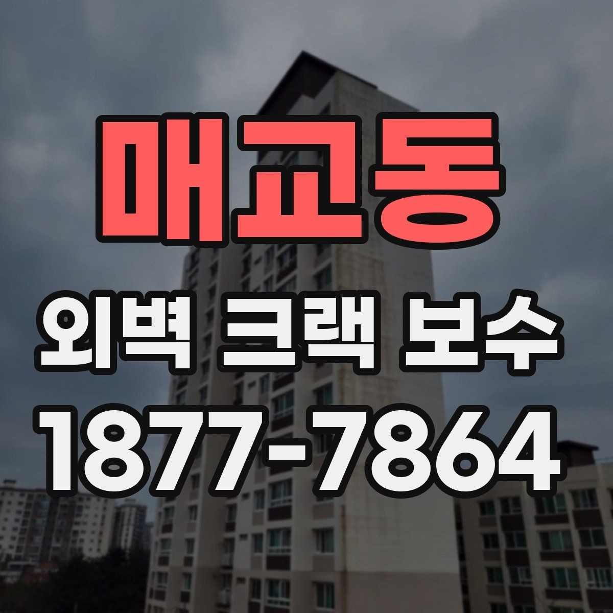 매교동 외벽 크랙 보수 업체 선택 전 체크할 기준