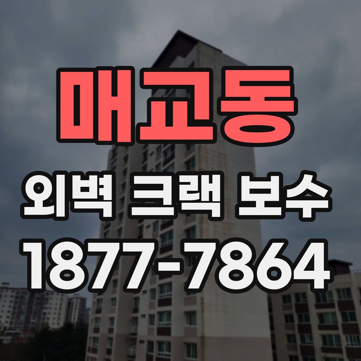 매교동 외벽 크랙 보수