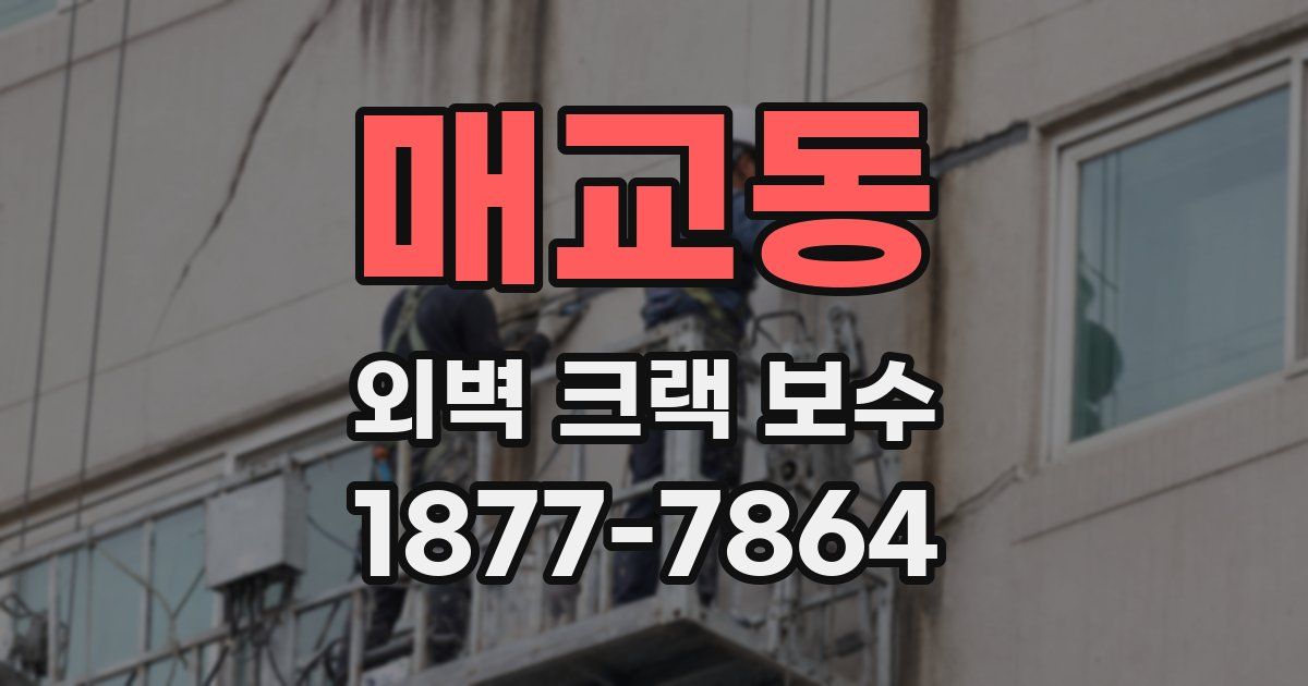 매교동 외벽 크랙 보수