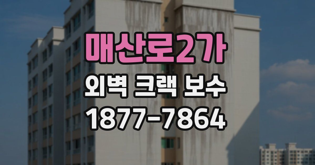 매산로2가 외벽 크랙 보수