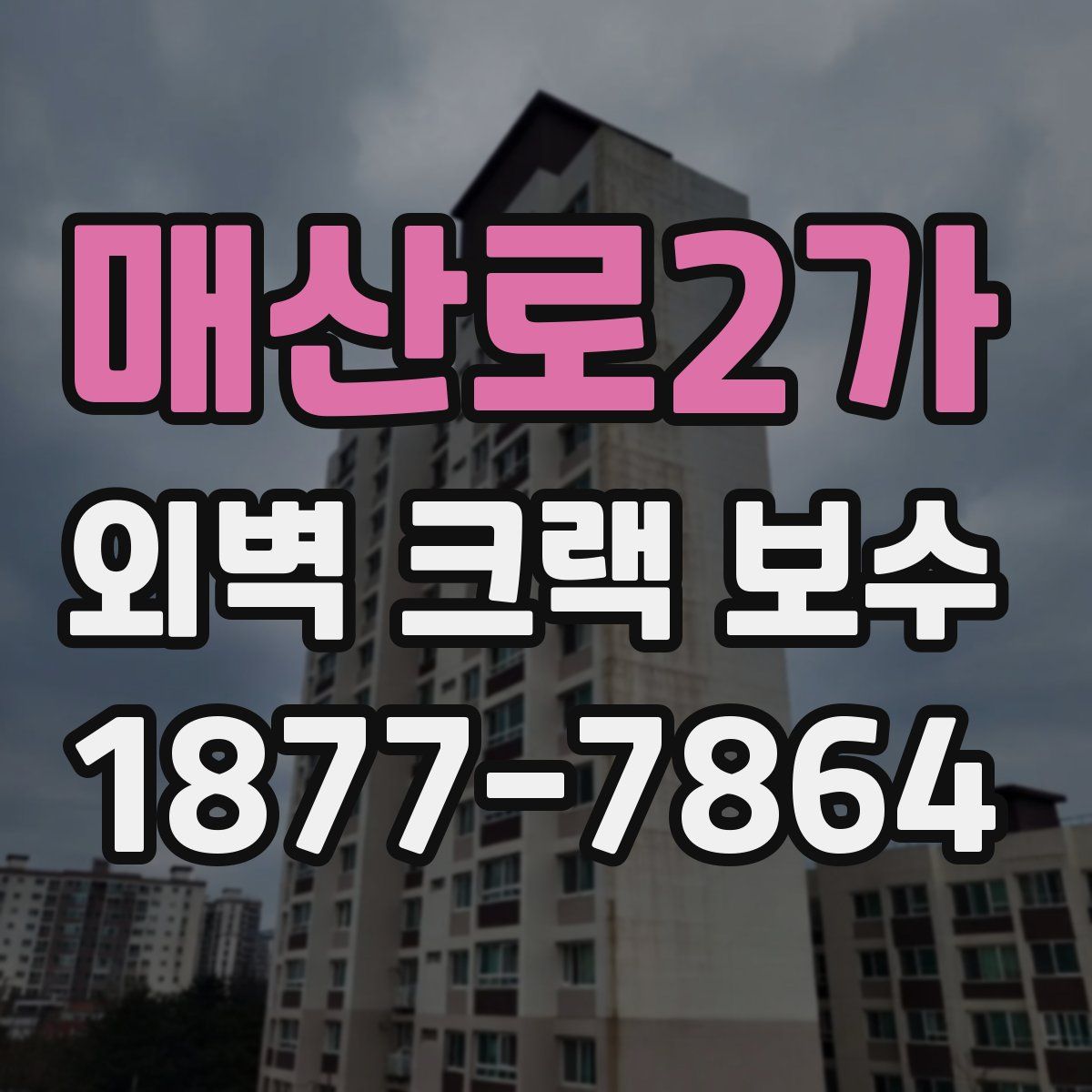 매산로2가 외벽 크랙 보수