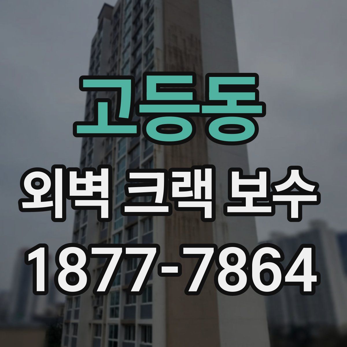 고등동 외벽 크랙 보수