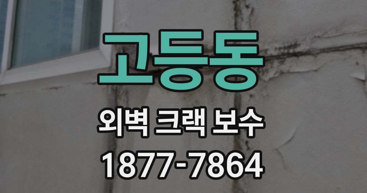 고등동 외벽 크랙 보수