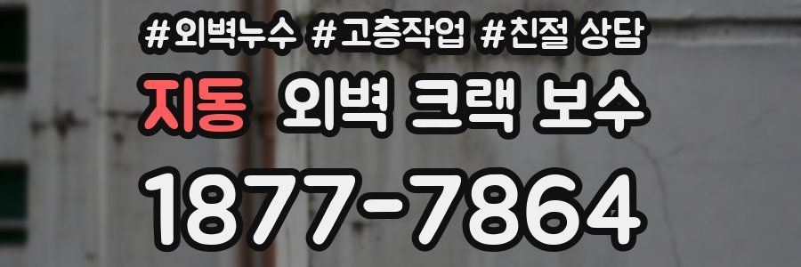 지동 외벽 크랙 보수