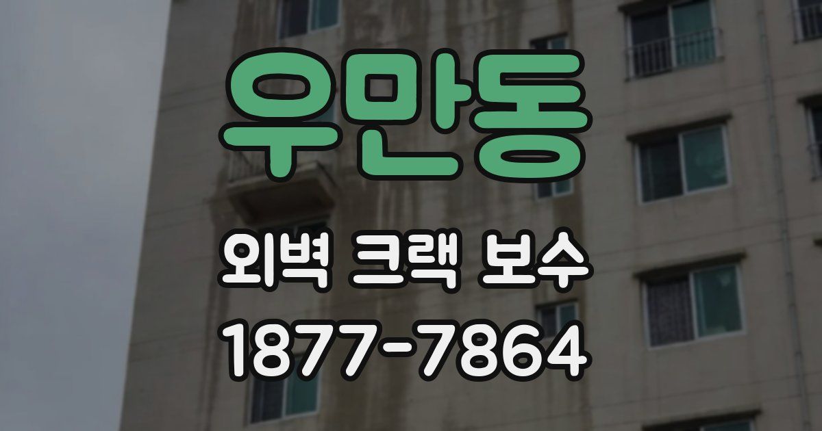 우만동 외벽 크랙 보수