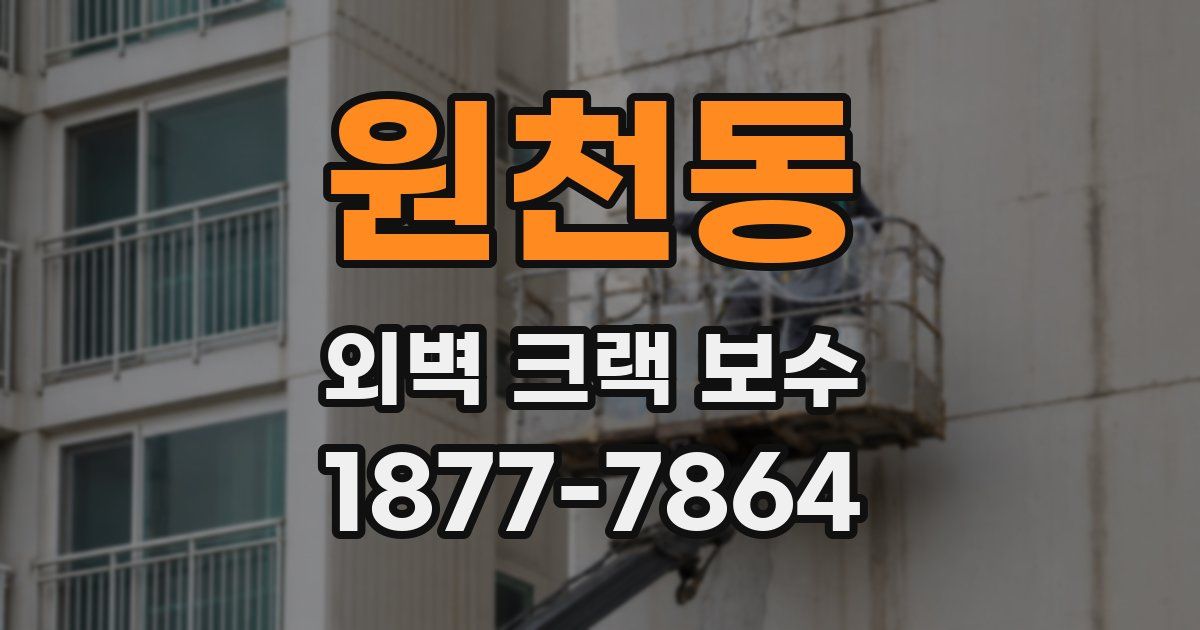 원천동 외벽 크랙 보수