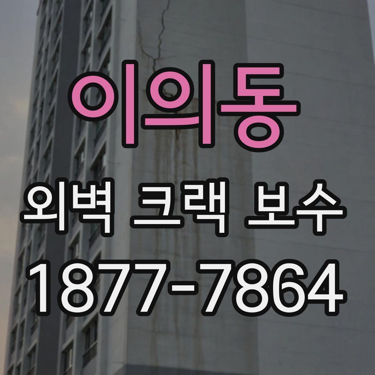 이의동 외벽 크랙 보수