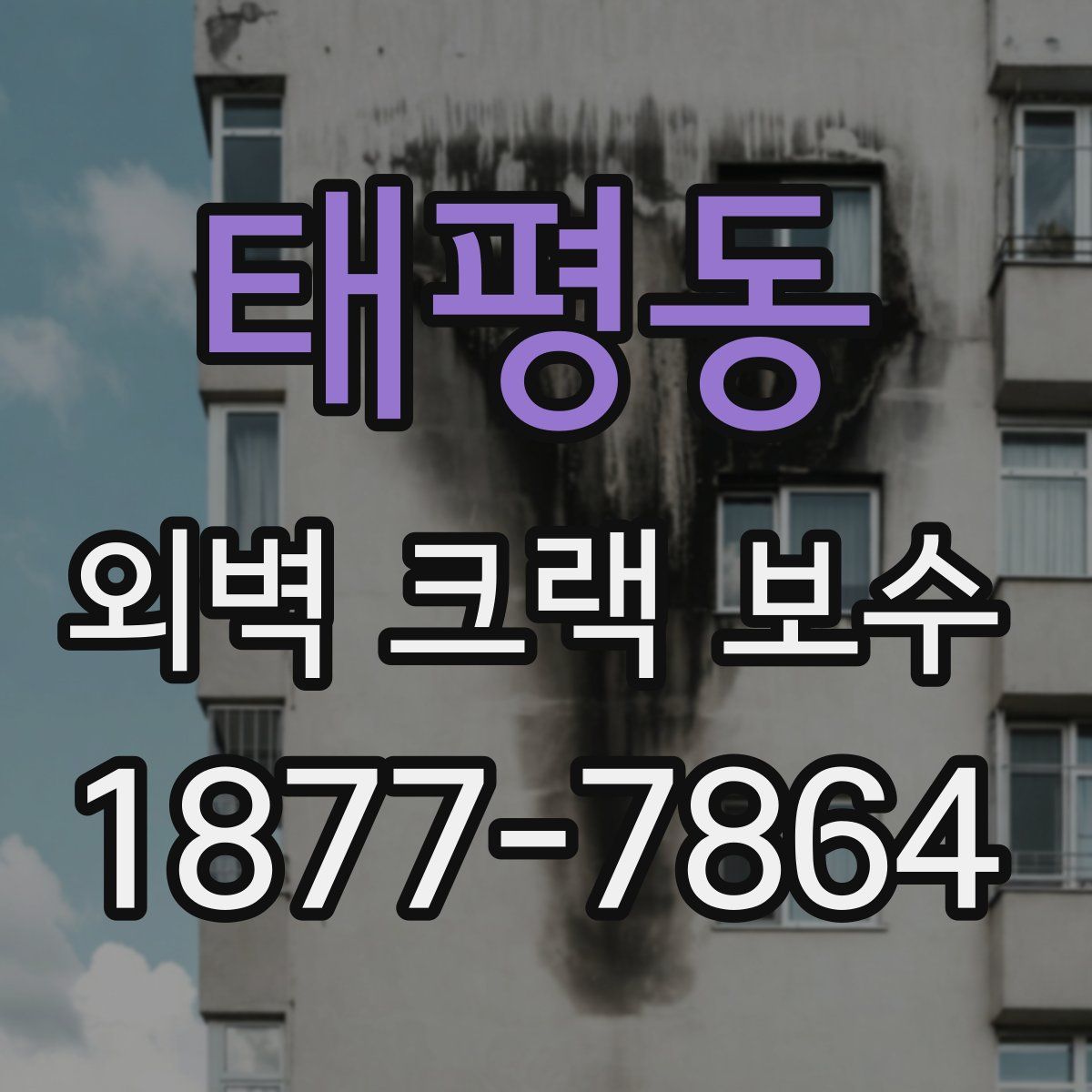 태평동 외벽 크랙 보수