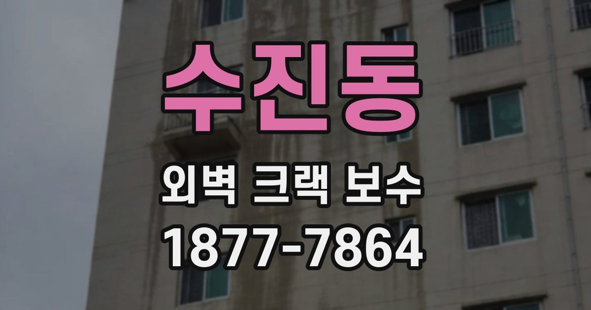 수진동 외벽 크랙 보수