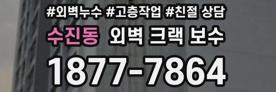 수진동 외벽 크랙 보수