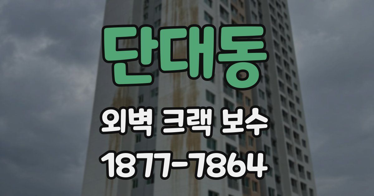 단대동 외벽 크랙 보수