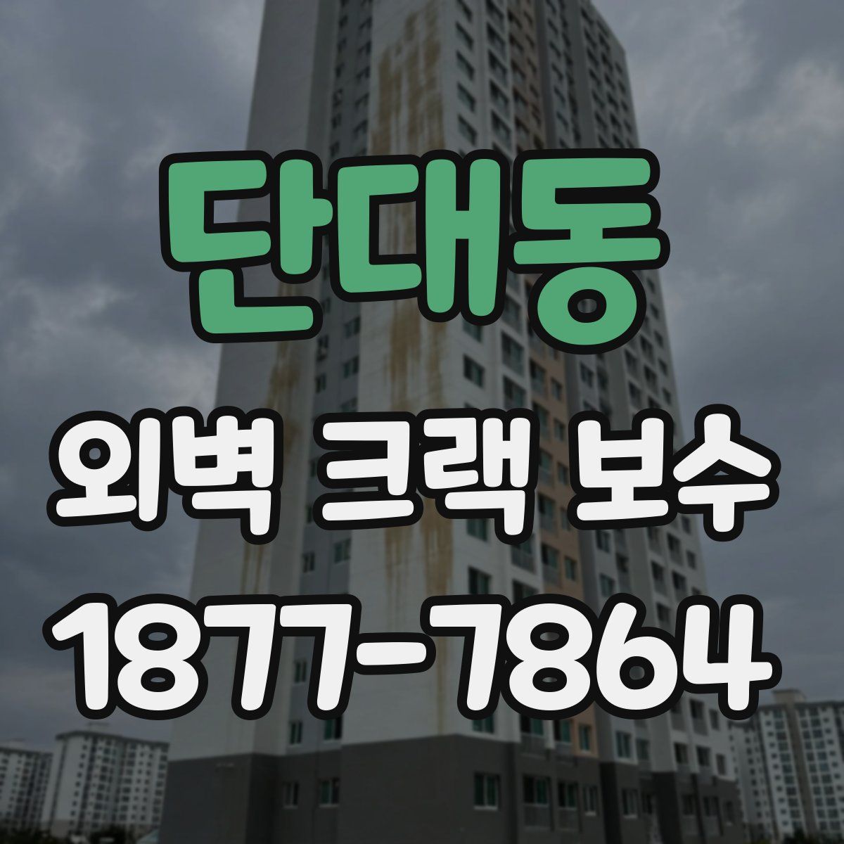 단대동 외벽 크랙 보수