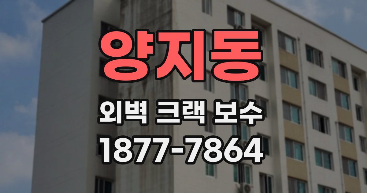 양지동 외벽 크랙 보수