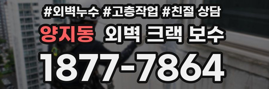 양지동 외벽 크랙 보수