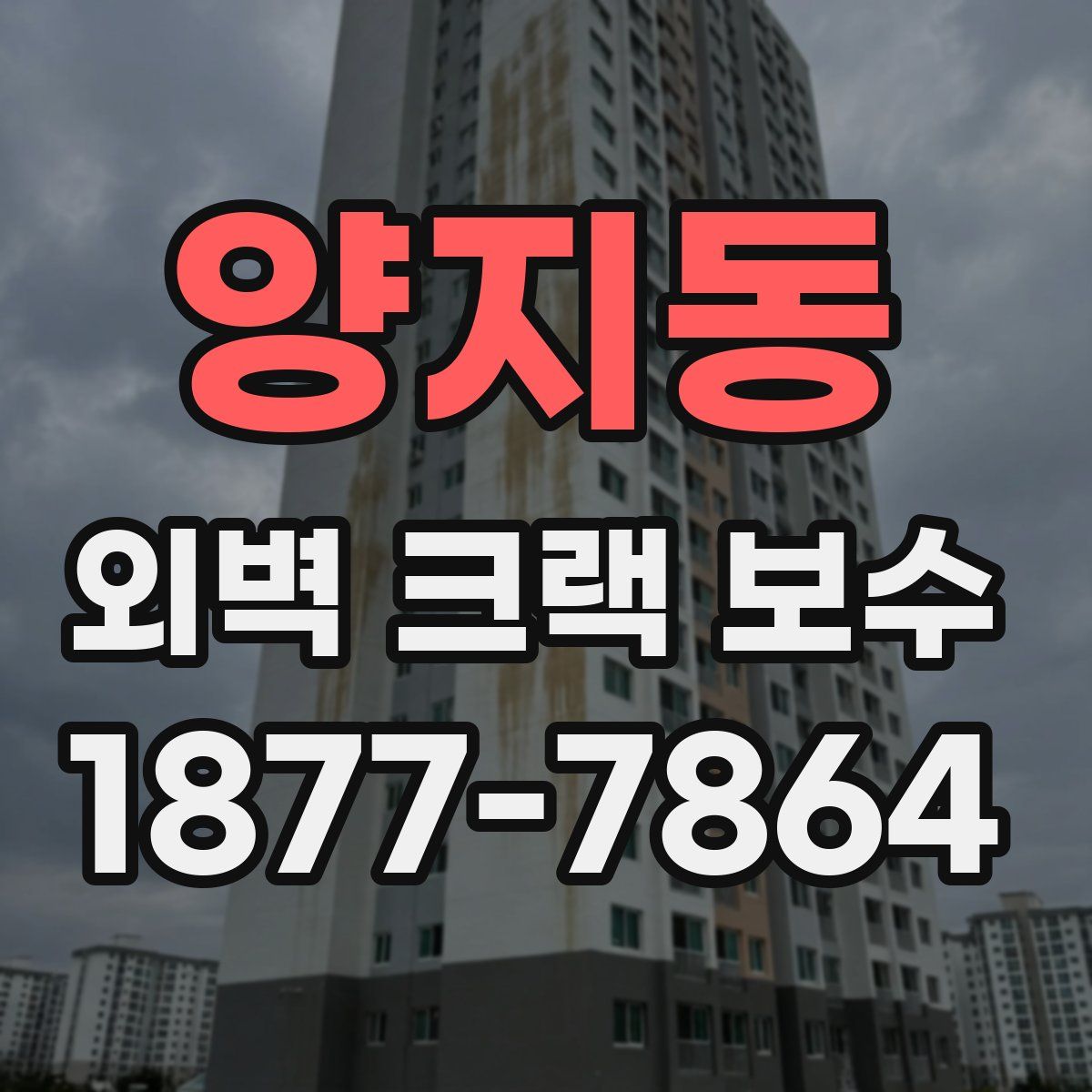 양지동 외벽 크랙 보수
