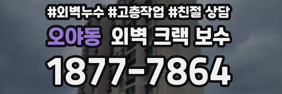 오야동 외벽 크랙 보수