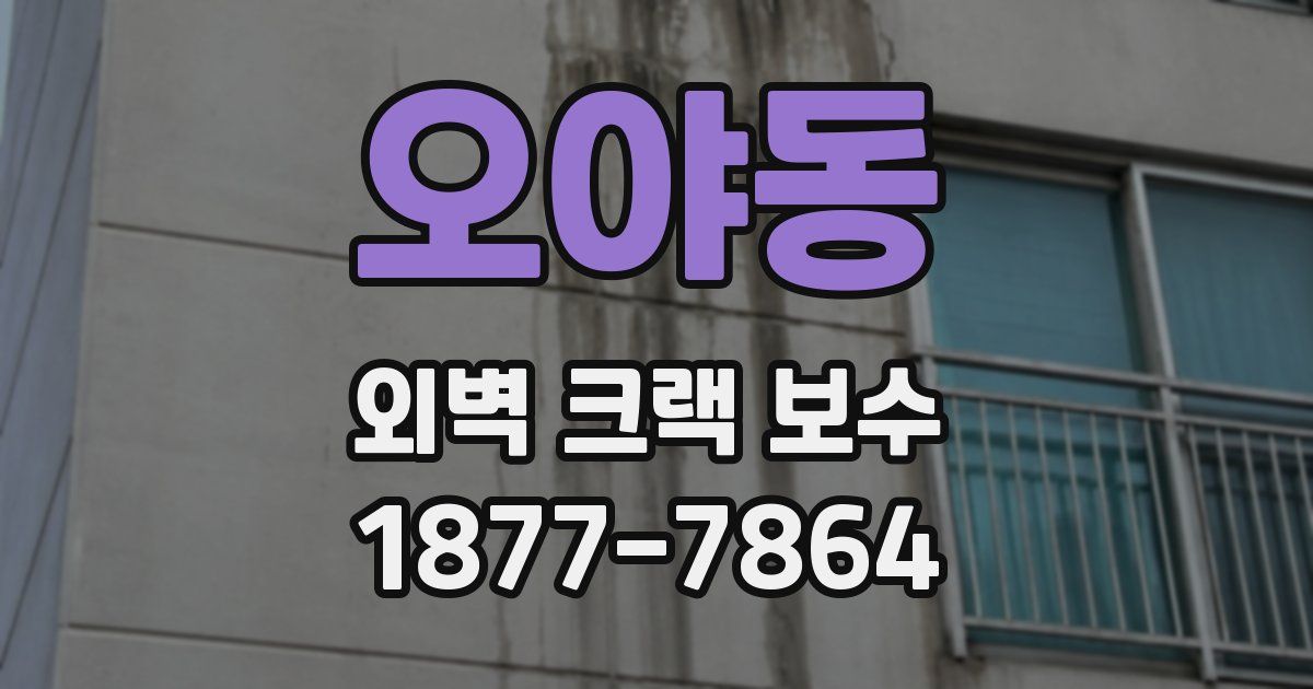 오야동 외벽 크랙 보수