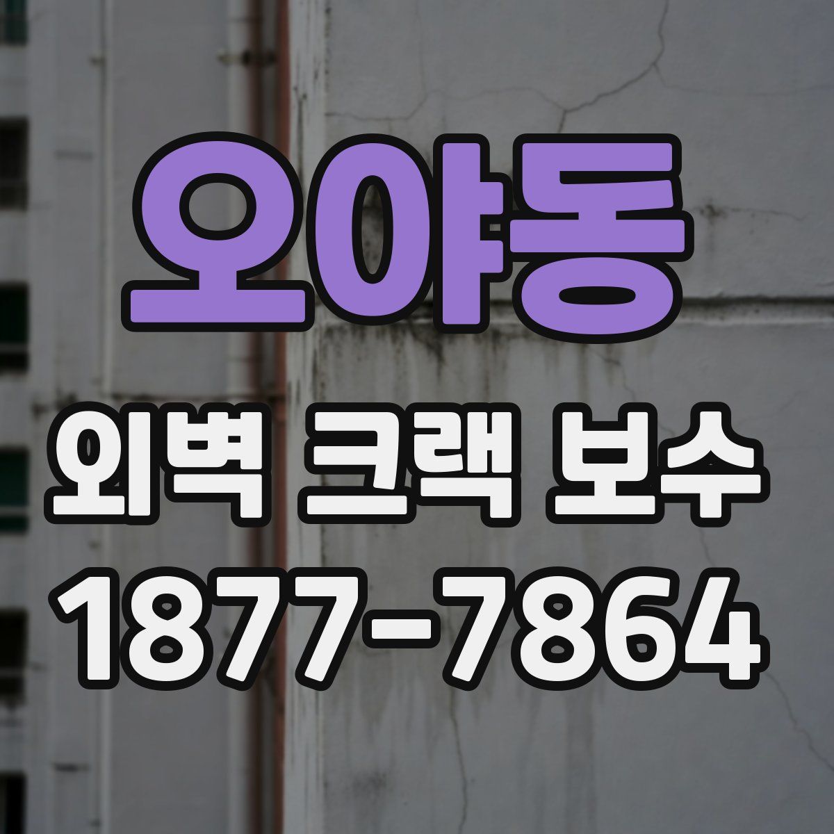 오야동 외벽 크랙 보수