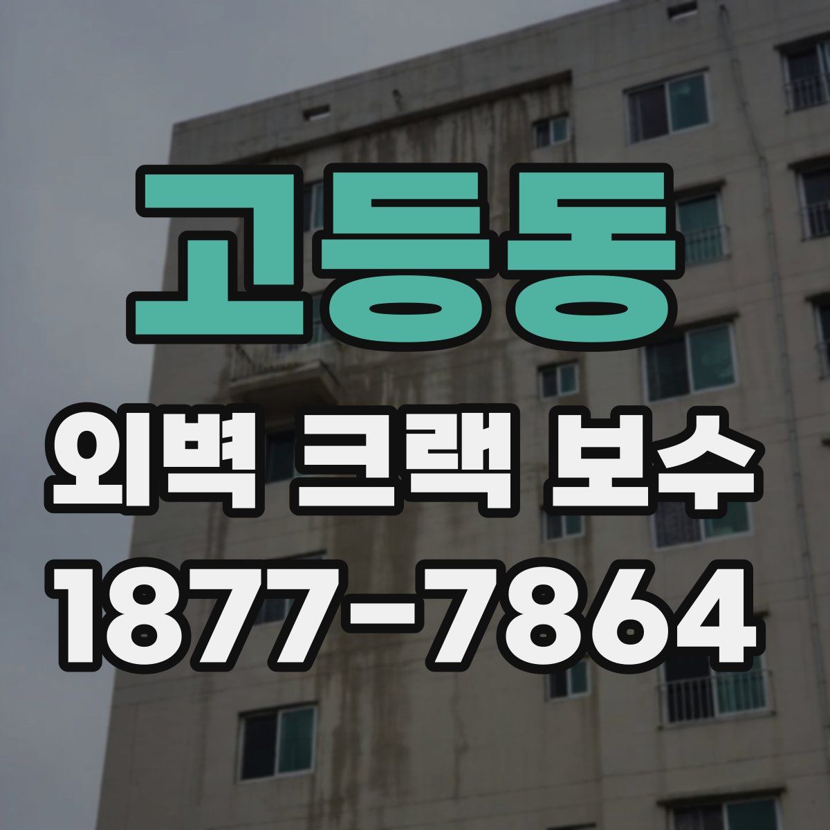 고등동 외벽 크랙 보수