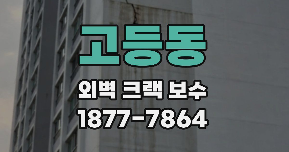고등동 외벽 크랙 보수