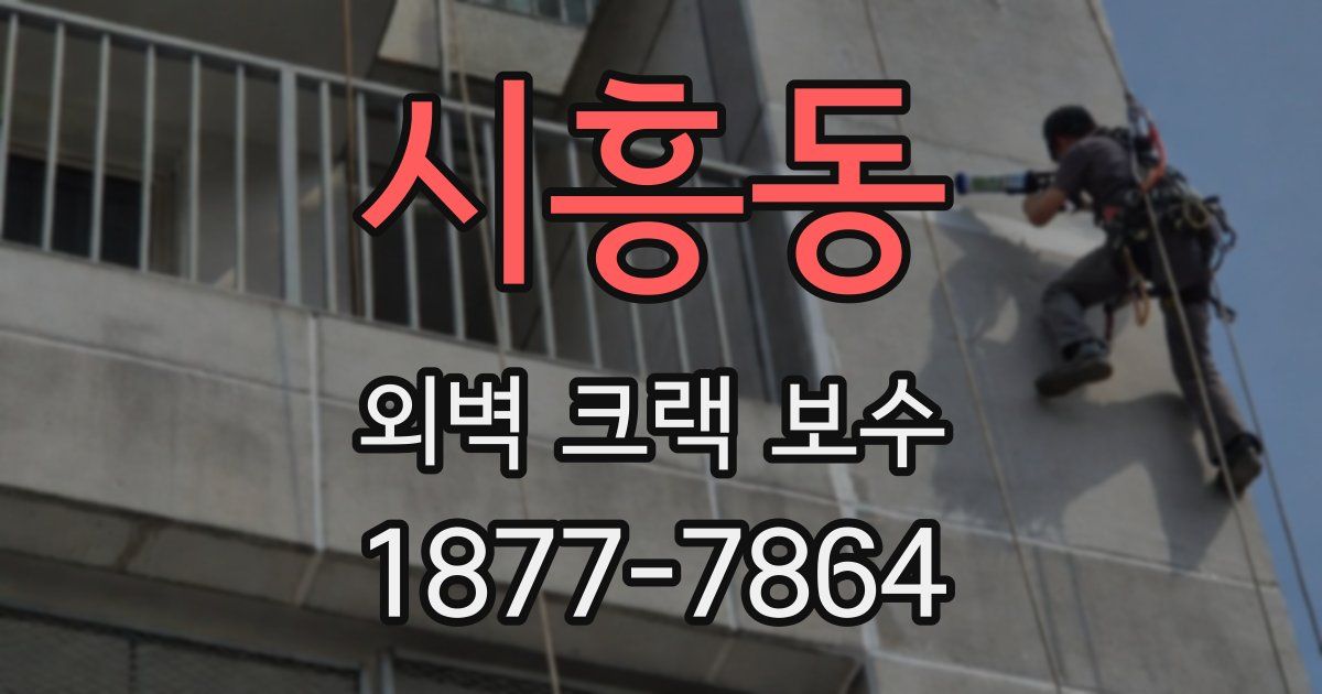 시흥동 외벽 크랙 보수