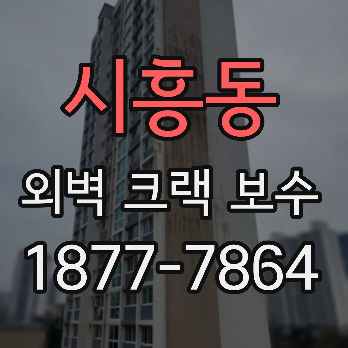 시흥동 외벽 크랙 보수