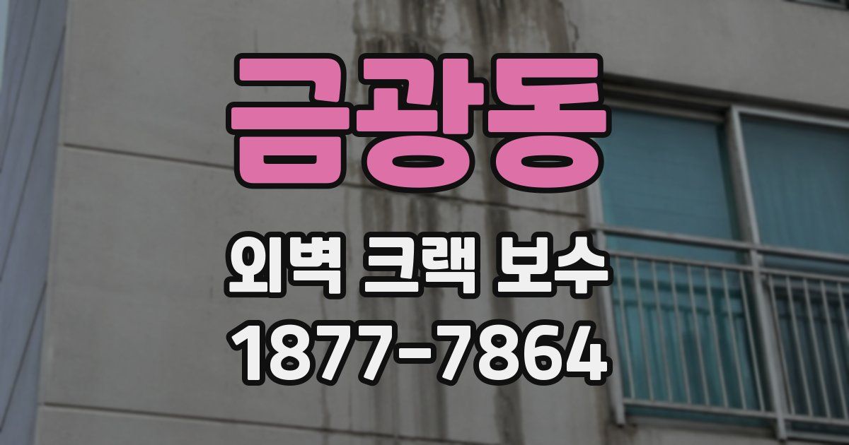 금광동 외벽 크랙 보수