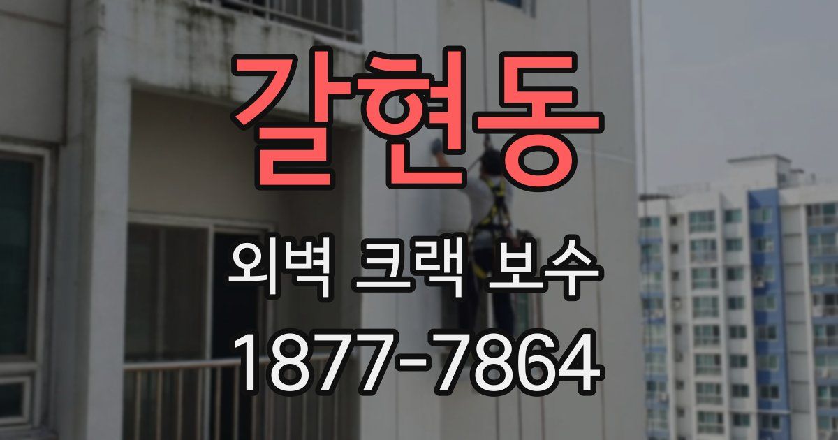 갈현동 외벽 크랙 보수