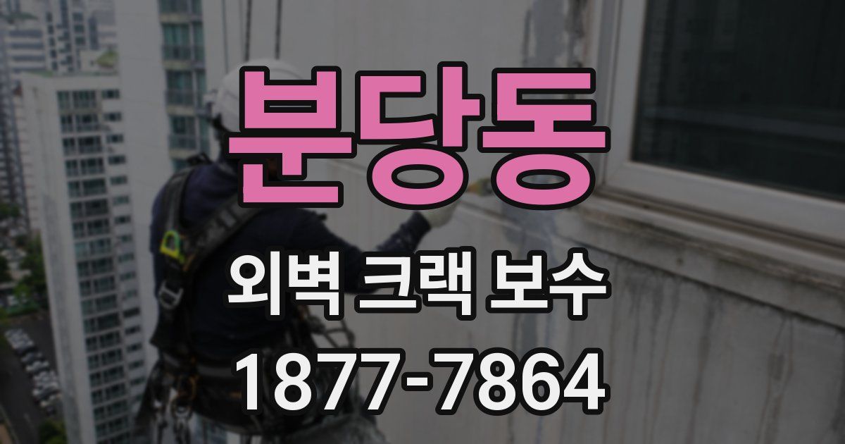 분당동 외벽 크랙 보수
