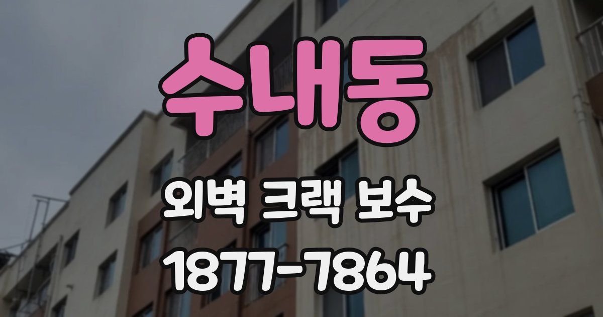 수내동 외벽 크랙 보수