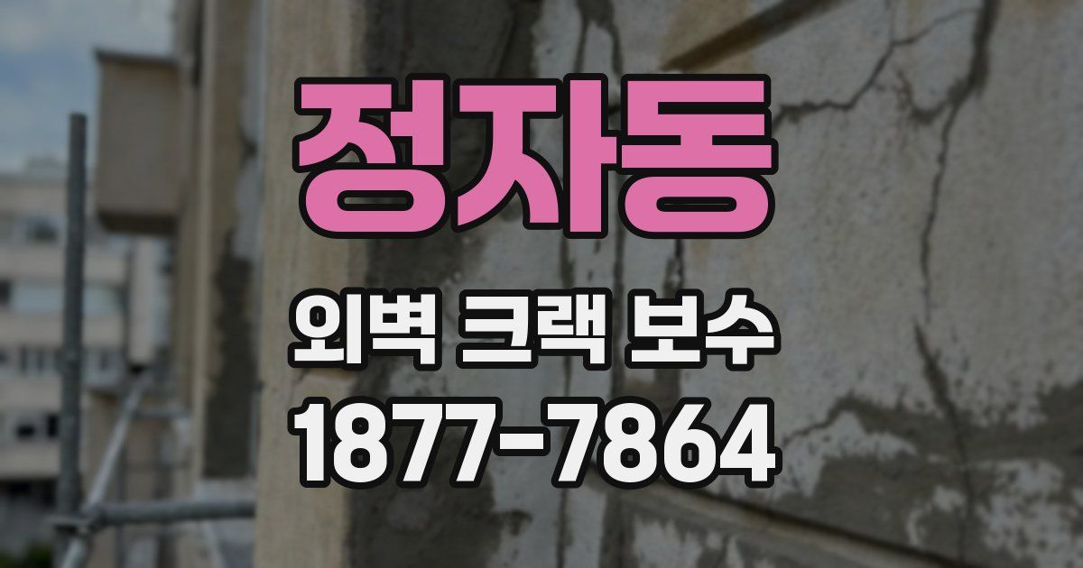 정자동 외벽 크랙 보수