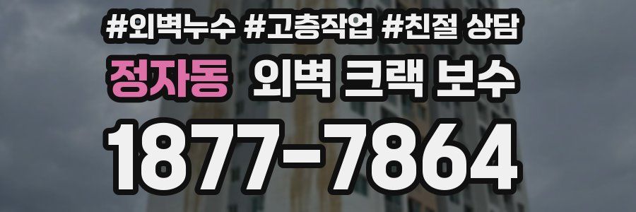 정자동 외벽 크랙 보수