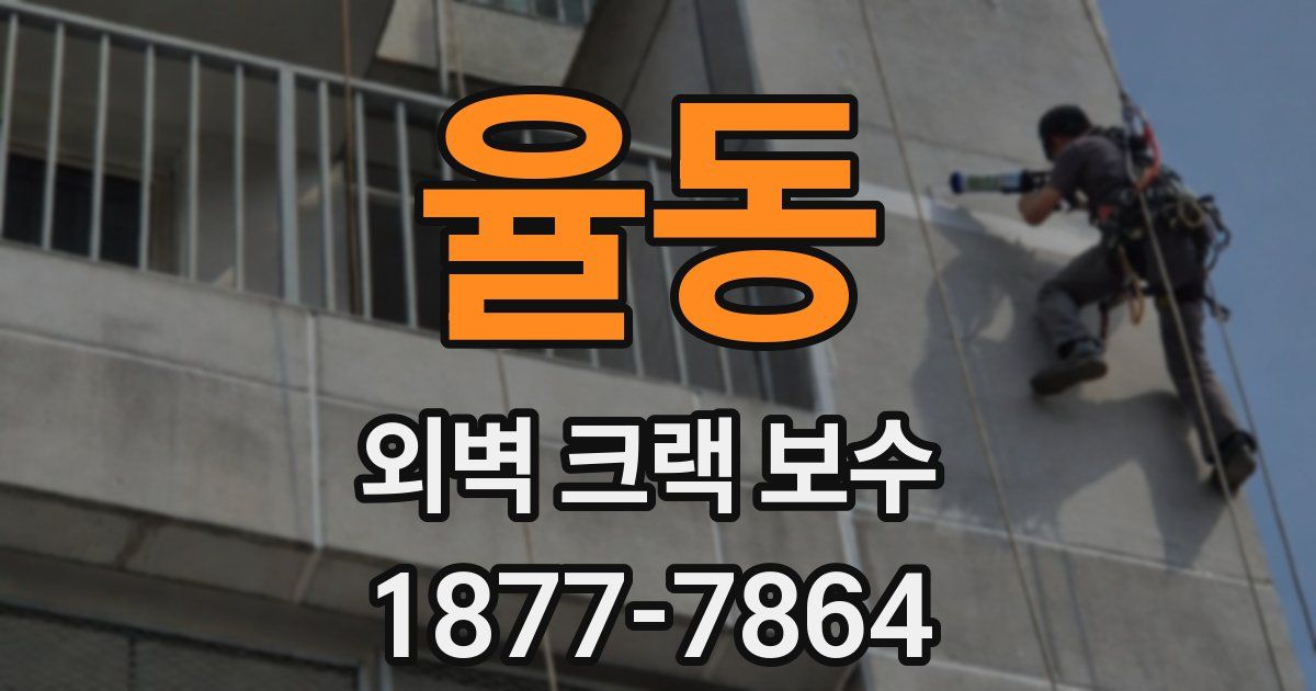 율동 외벽 크랙 보수
