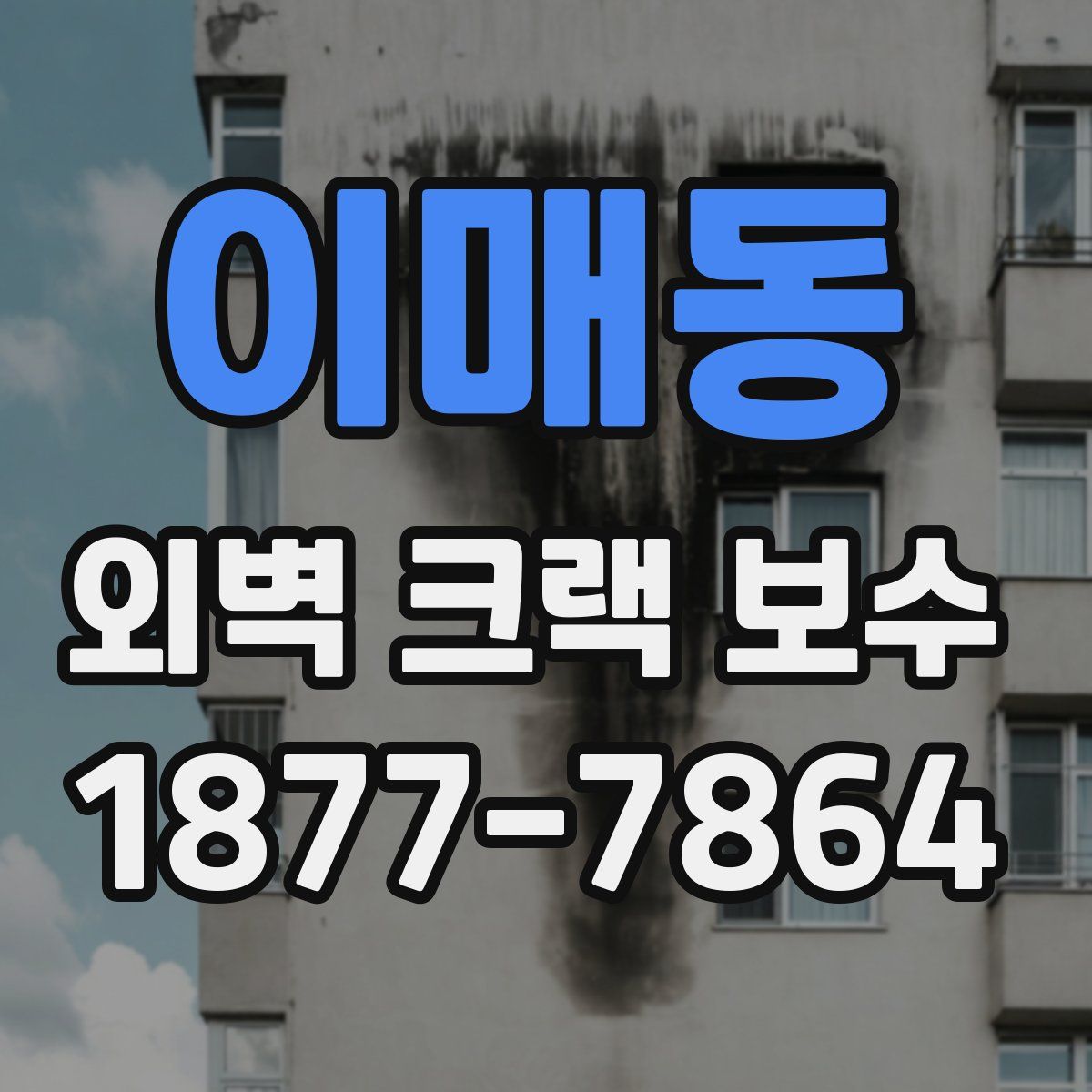 이매동 외벽 크랙 보수