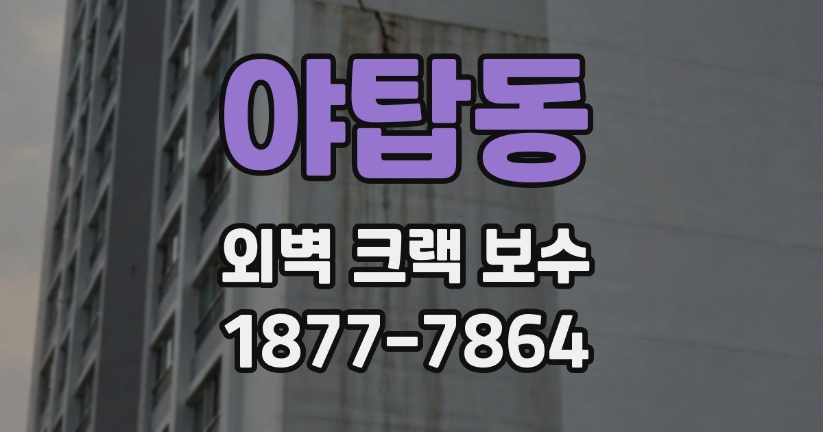 야탑동 외벽 크랙 보수