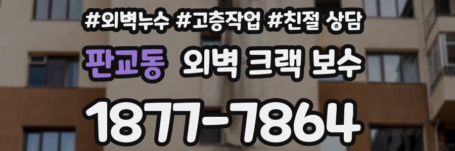 판교동 외벽 크랙 보수