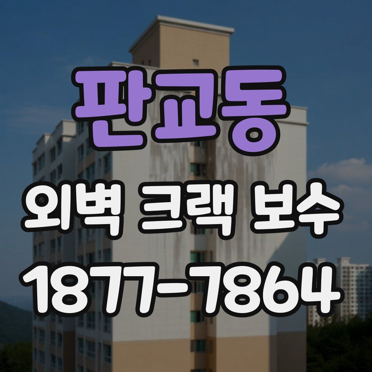 판교동 외벽 크랙 보수