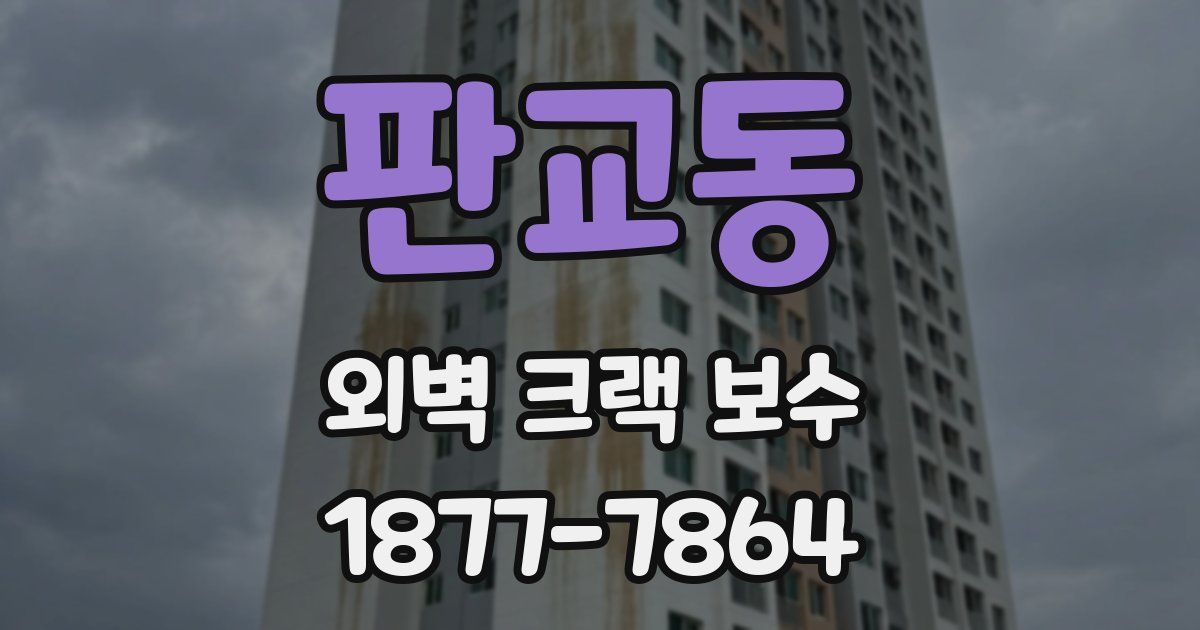 판교동 외벽 크랙 보수