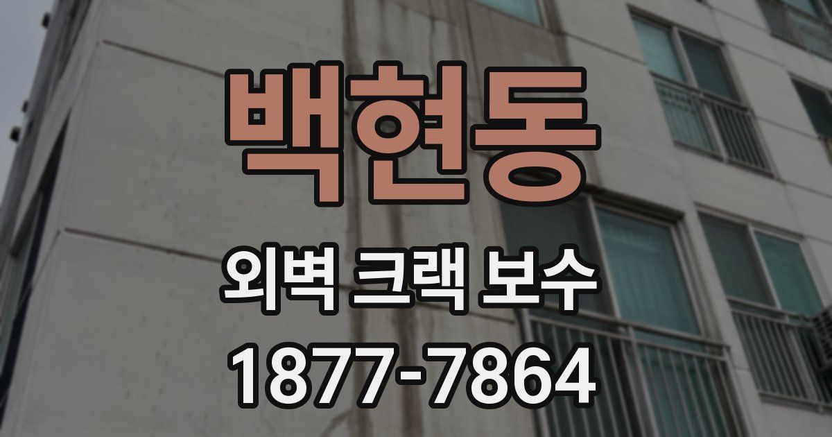백현동 외벽 크랙 보수