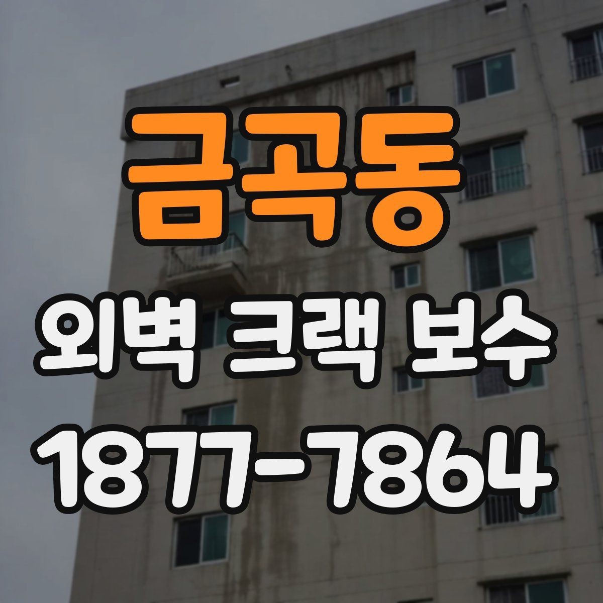 금곡동 외벽 크랙 보수 공사에서 자주 묻는 질문 정리