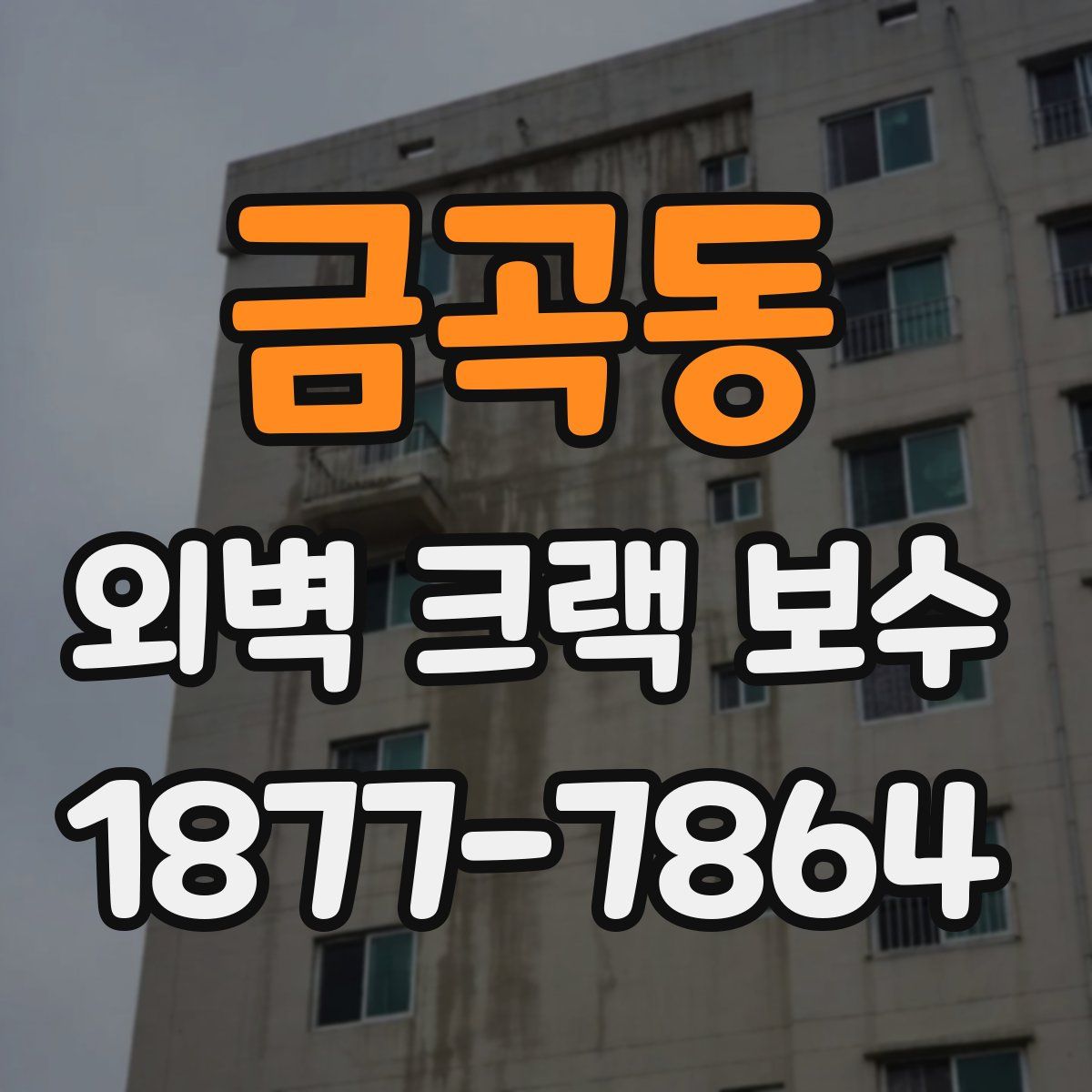 금곡동 외벽 크랙 보수
