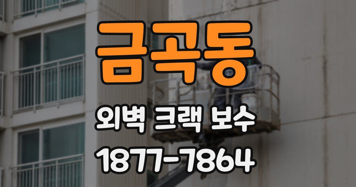 금곡동 외벽 크랙 보수