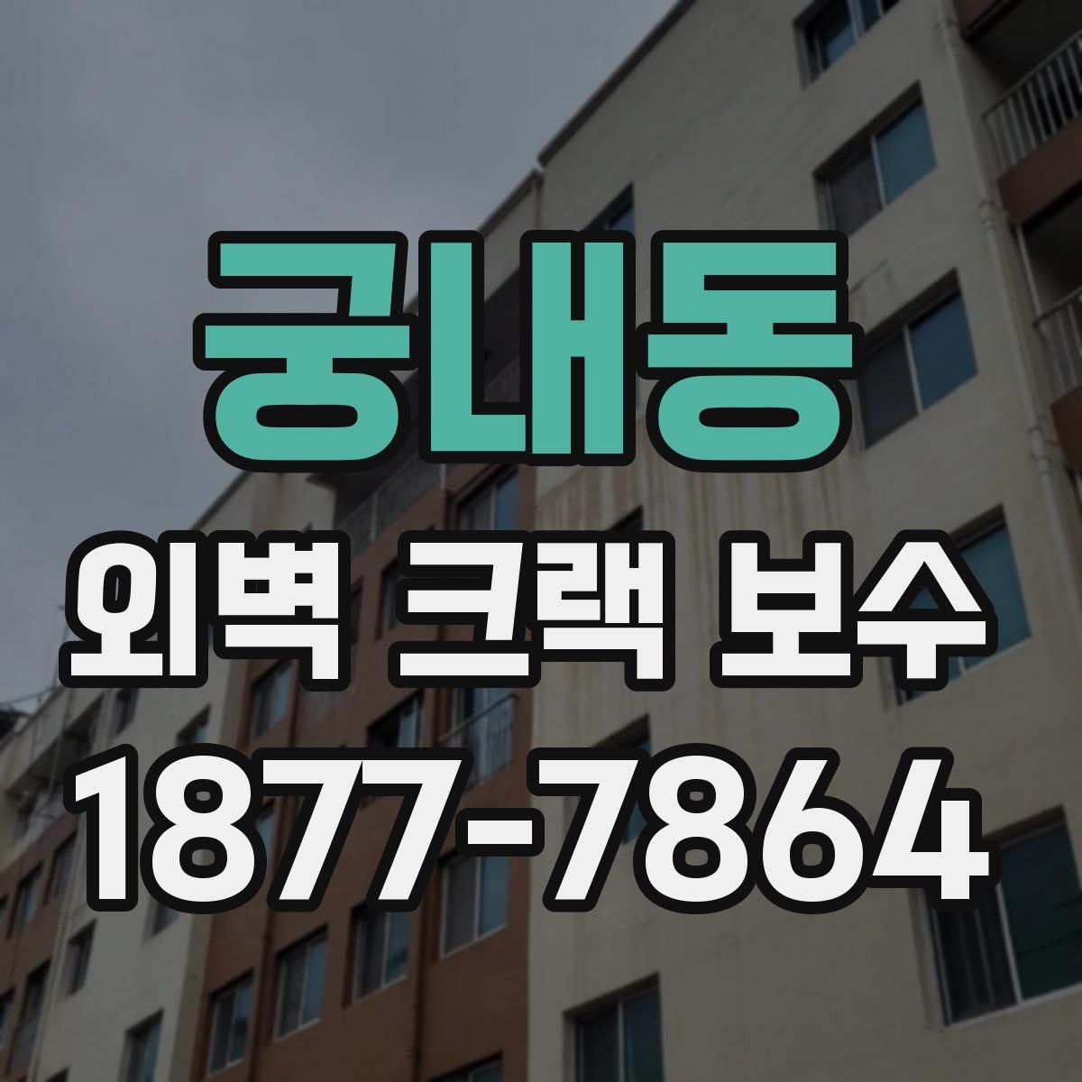 궁내동 외벽 크랙 보수