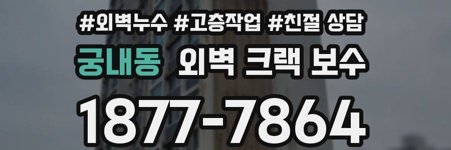 궁내동 외벽 크랙 보수